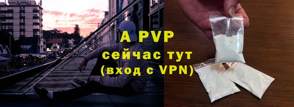индика Белокуриха