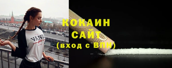 индика Белокуриха