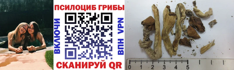 что такое наркотик  Качканар  Псилоцибиновые грибы мухоморы 